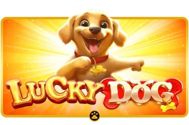 yoma77